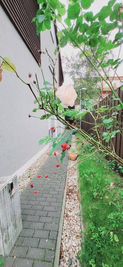 Vakantiehuis Koepenick 43 Mit Wlan